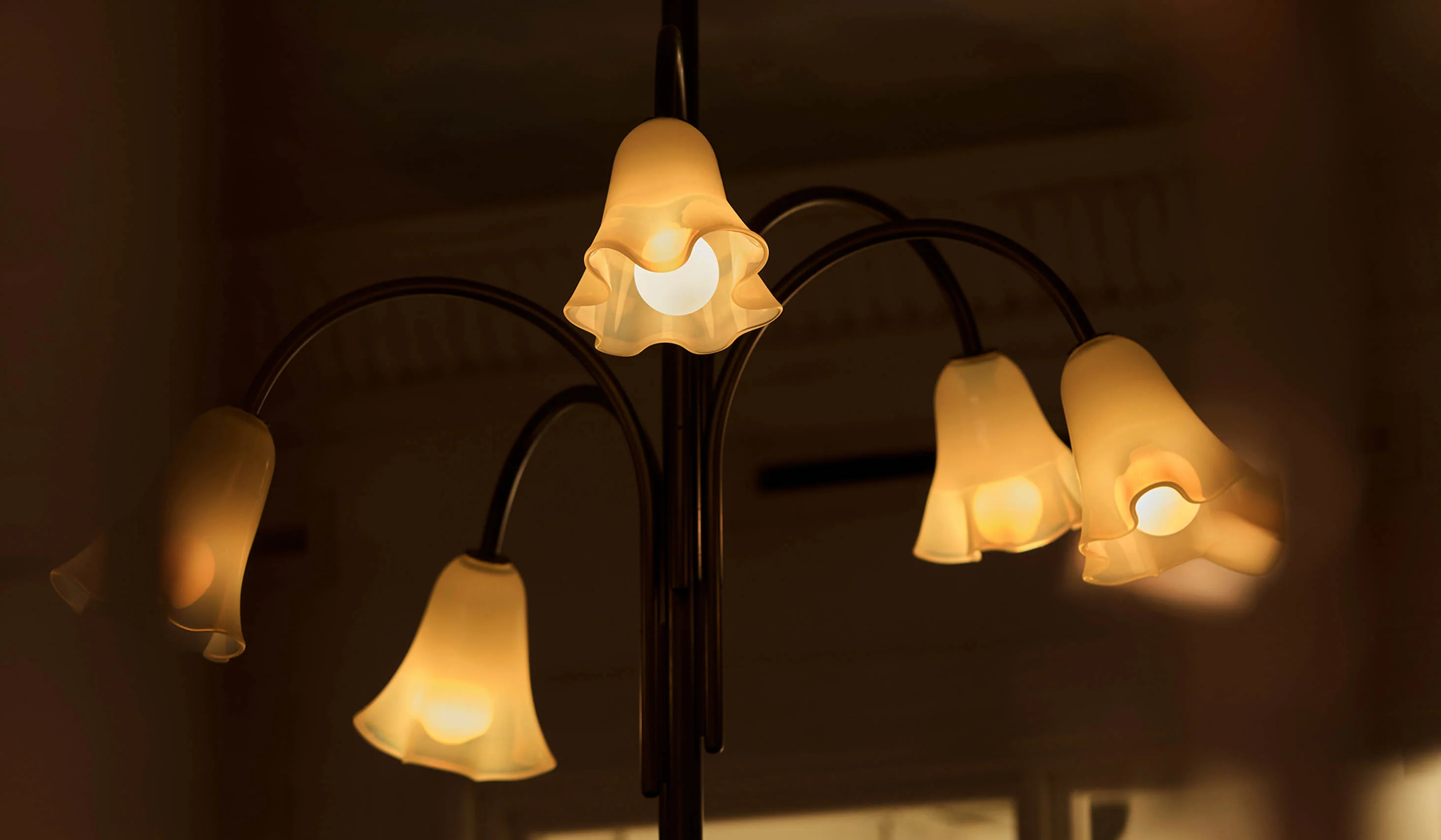 Product image 111