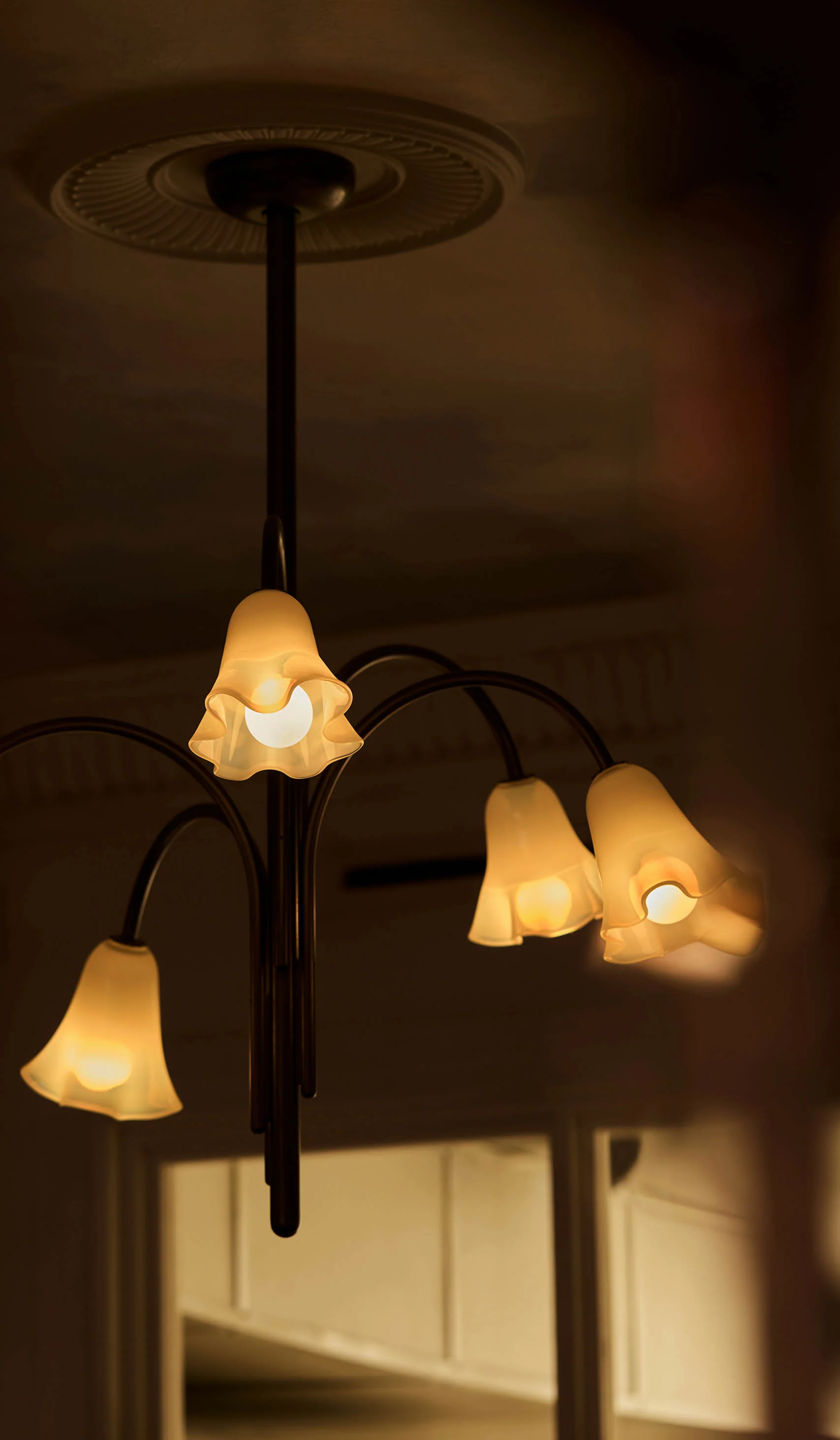 Product image 112